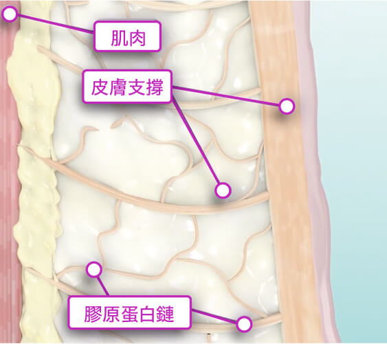 電波-page_工作區域 1 複本 2