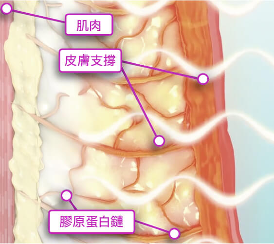 電波-page_工作區域 1 複本 3