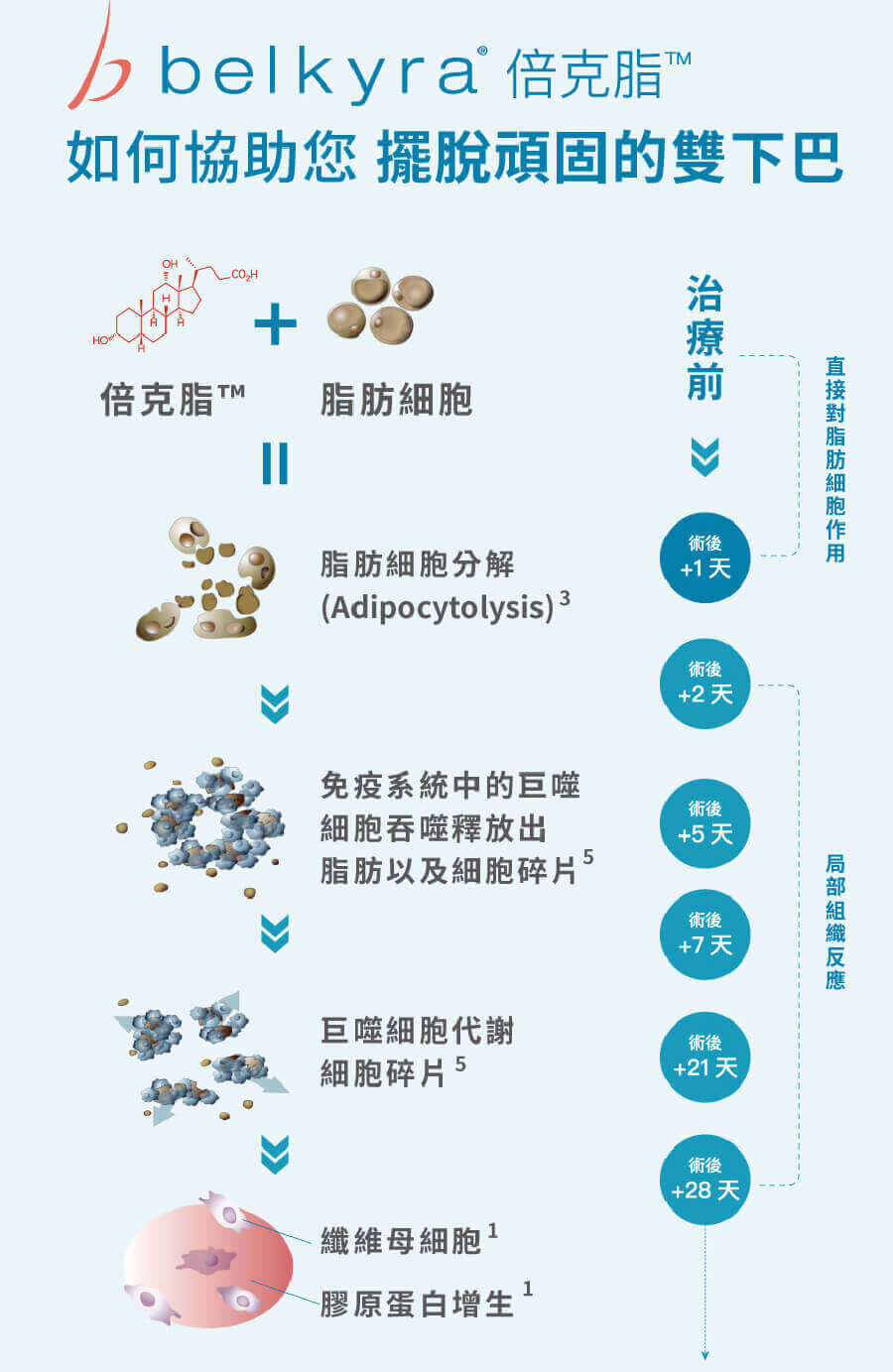 消脂針頁面2-05
