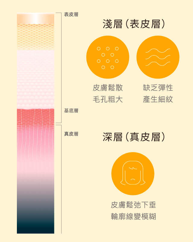 無雙電波2_肌膚老化-淺層 × 深層